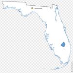 Florida (FL) US STATE free vector map
